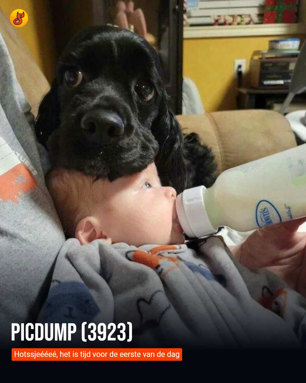 Picdump (3923)
