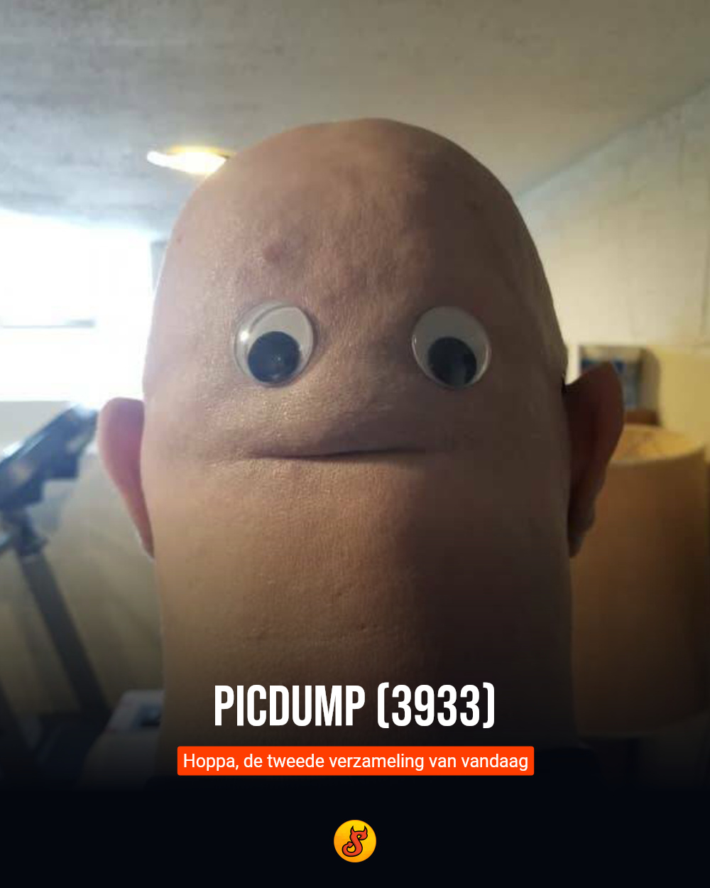 Picdump (3933)