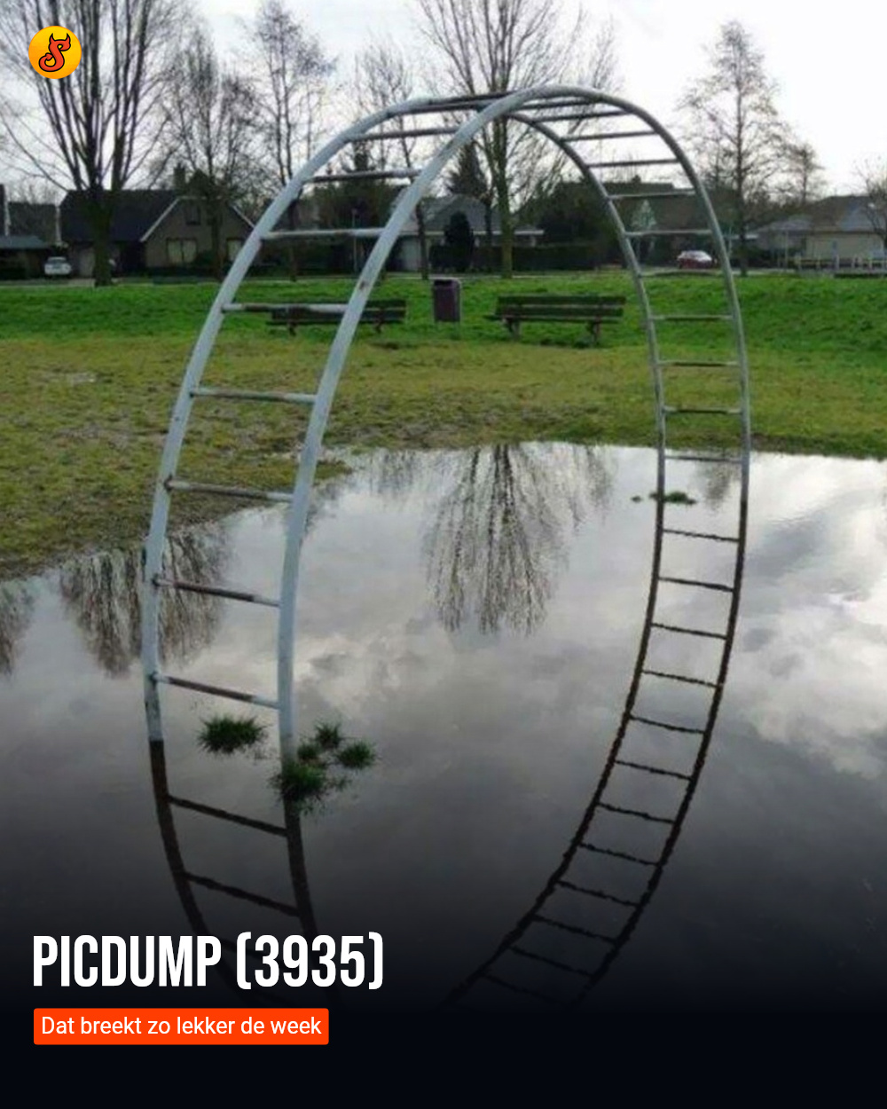 Picdump (3935)
