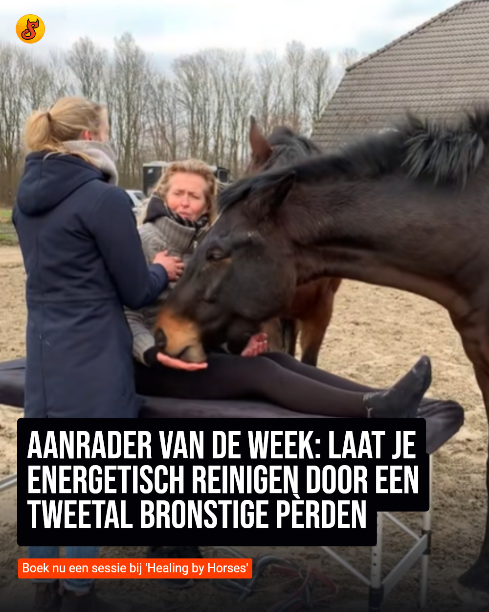 Aanrader van de week: Laat je energetisch reinigen door een tweetal bronstige pèrden