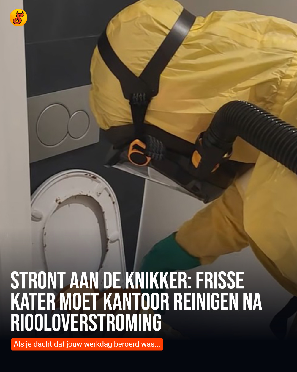 Stront aan de knikker: Frisse Kater moet kantoor reinigen na riooloverstroming