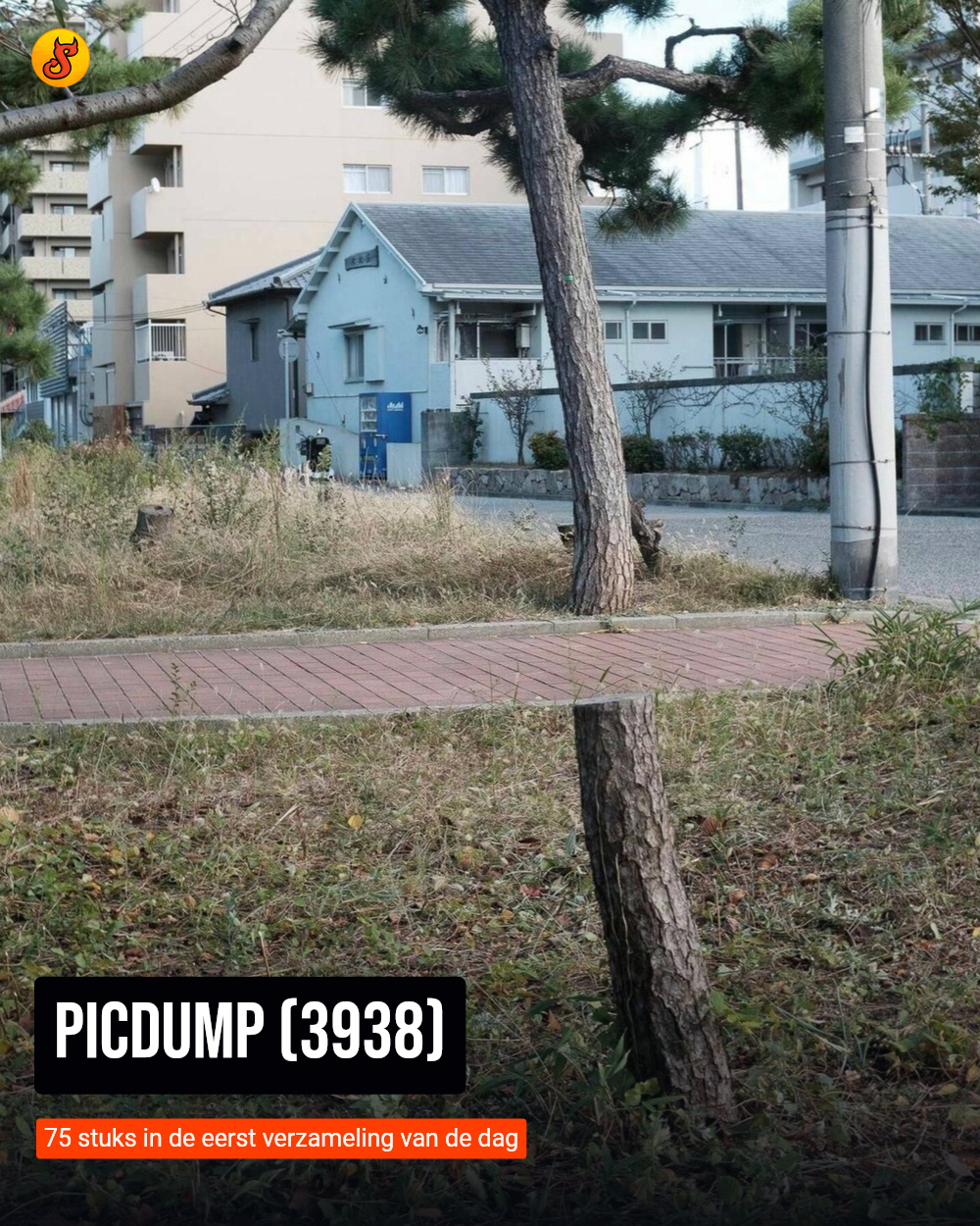 Picdump (3938)