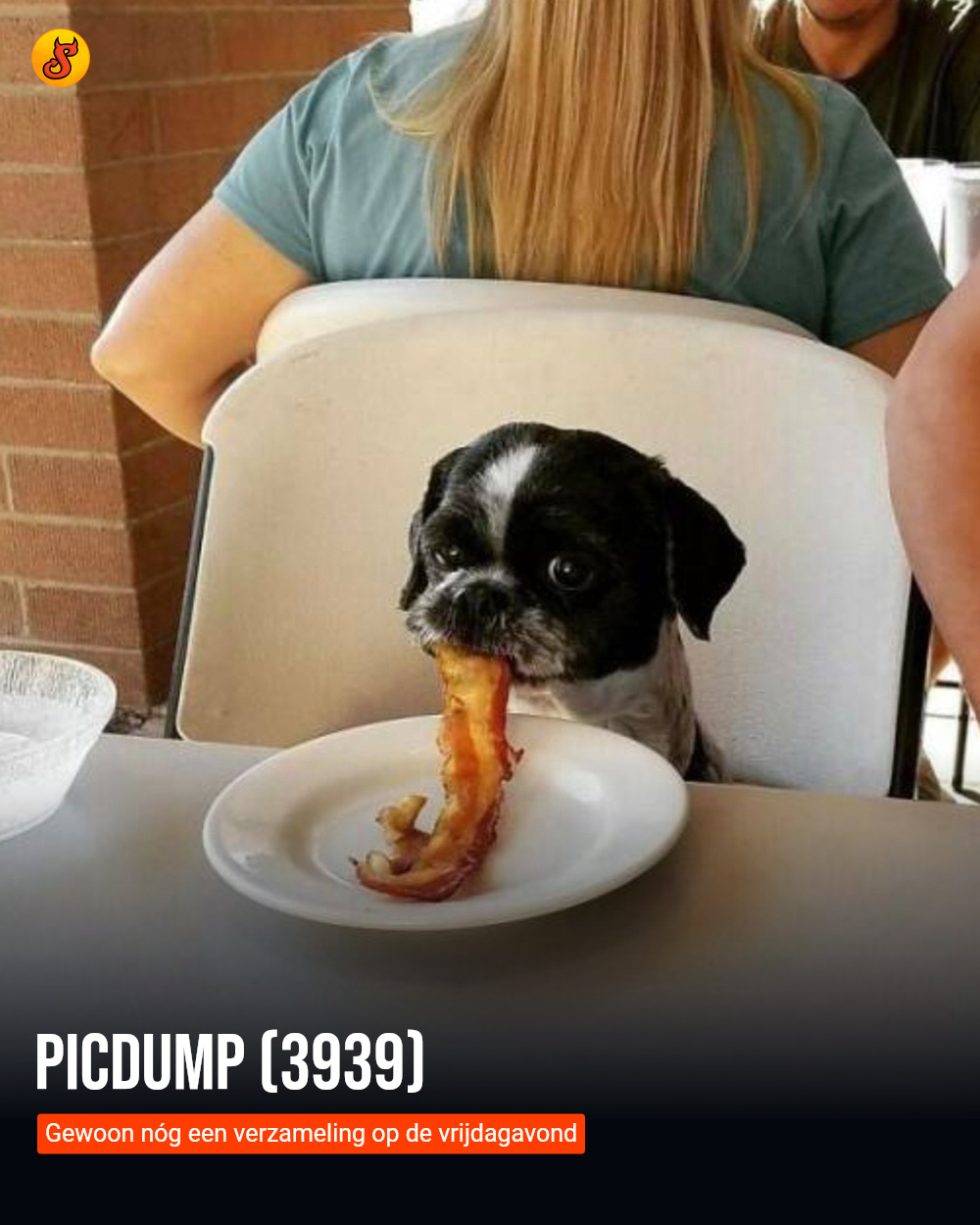 Picdump (3939)