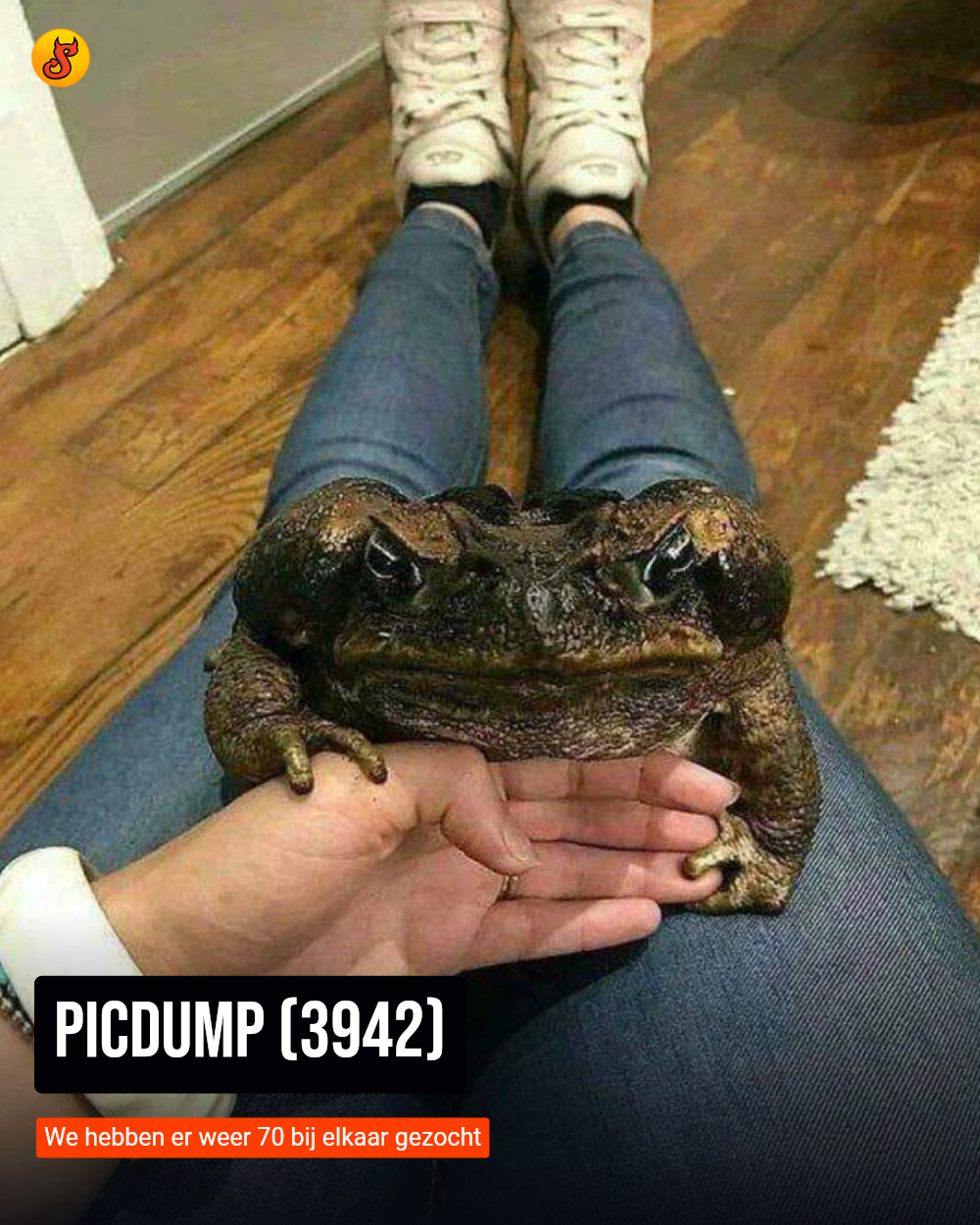 Picdump (3942)