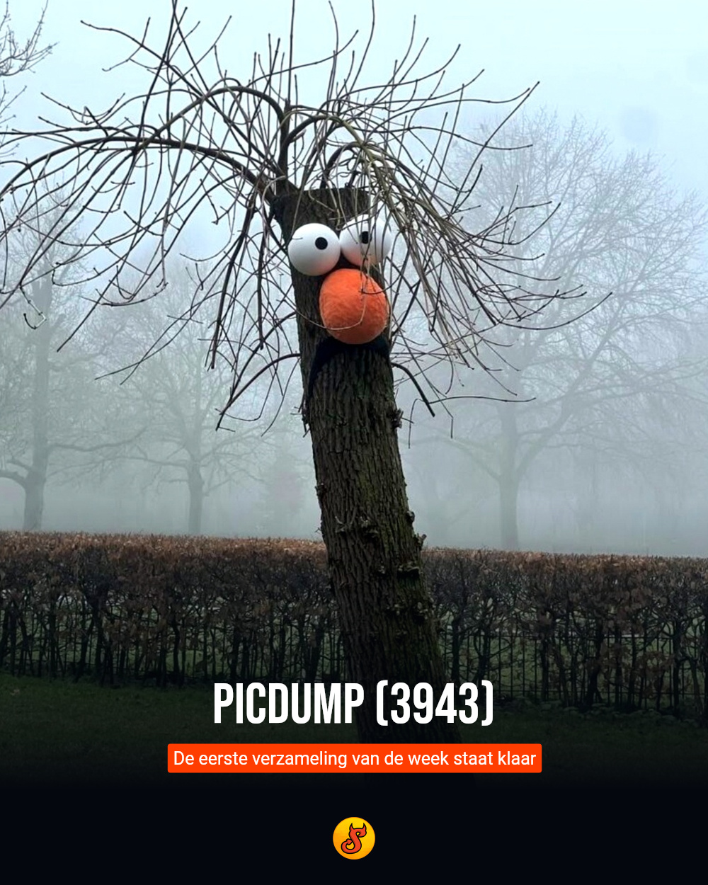 Picdump (3943)