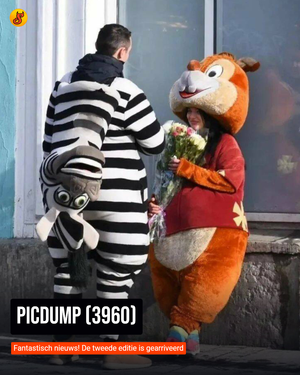 Picdump (3960)