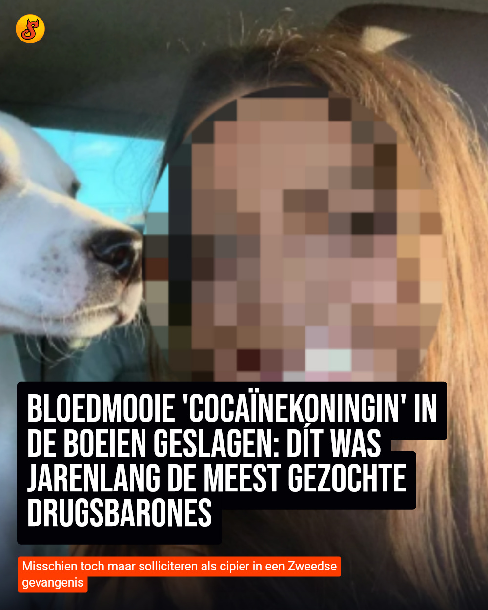 Bloedmooie 'cocaïnekoningin' in de boeien geslagen: dít was jarenlang de meest gezochte drugsbarones