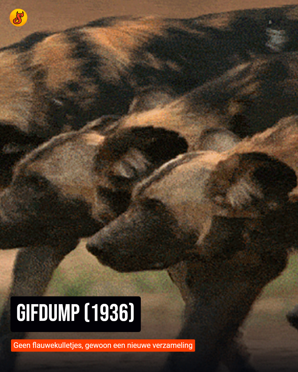 Gifdump (1936)