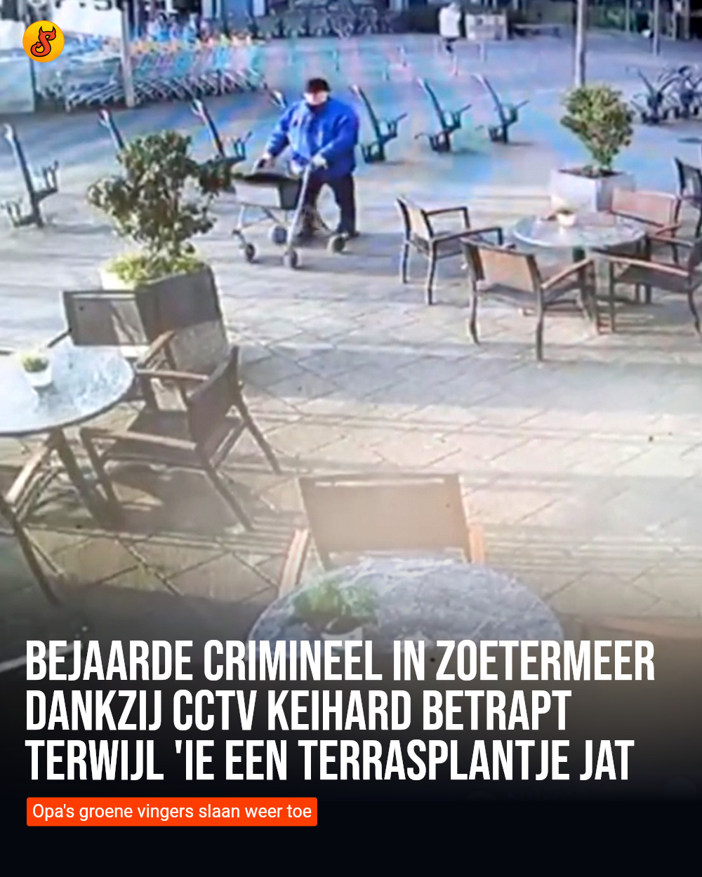 Bejaarde crimineel in Zoetermeer dankzij CCTV keihard betrapt terwijl 'ie een terrasplantje jat