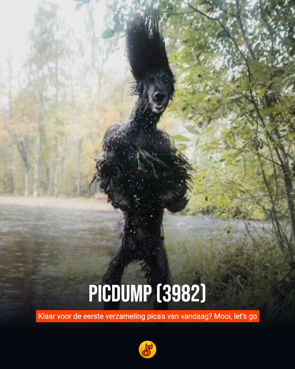 Picdump (3982)