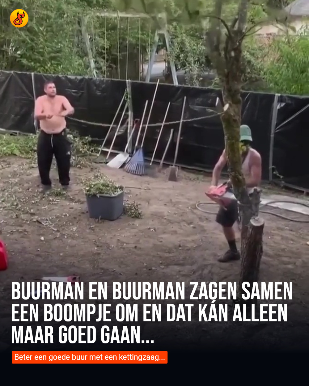 Buurman en Buurman zagen samen een boompje om en dat kán alleen maar goed gaan...