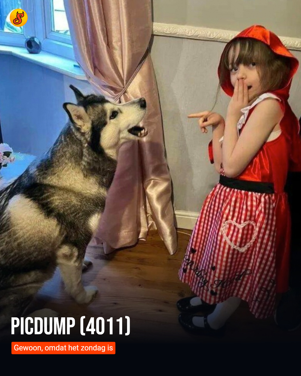 Picdump (4011)