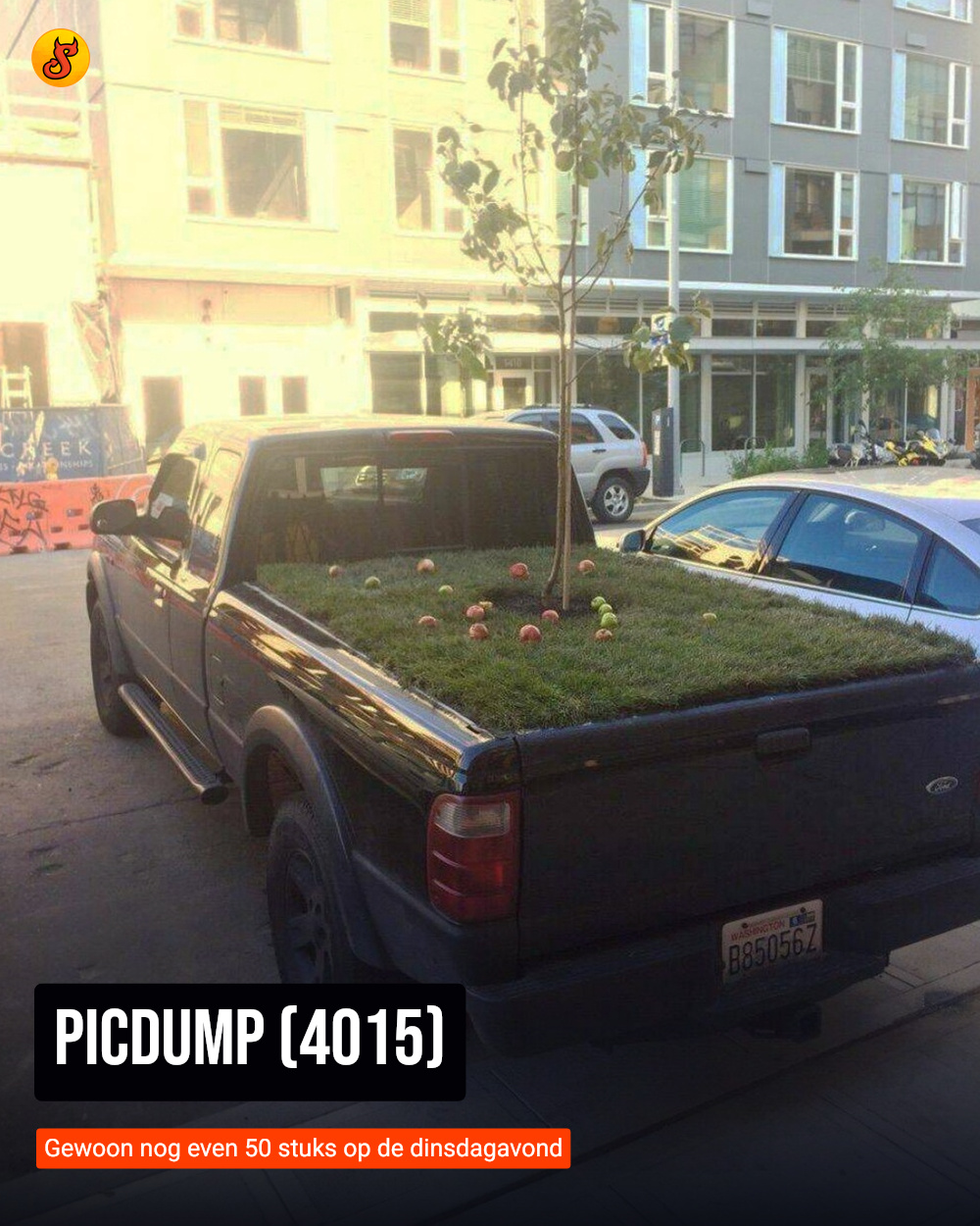 Picdump (4015)