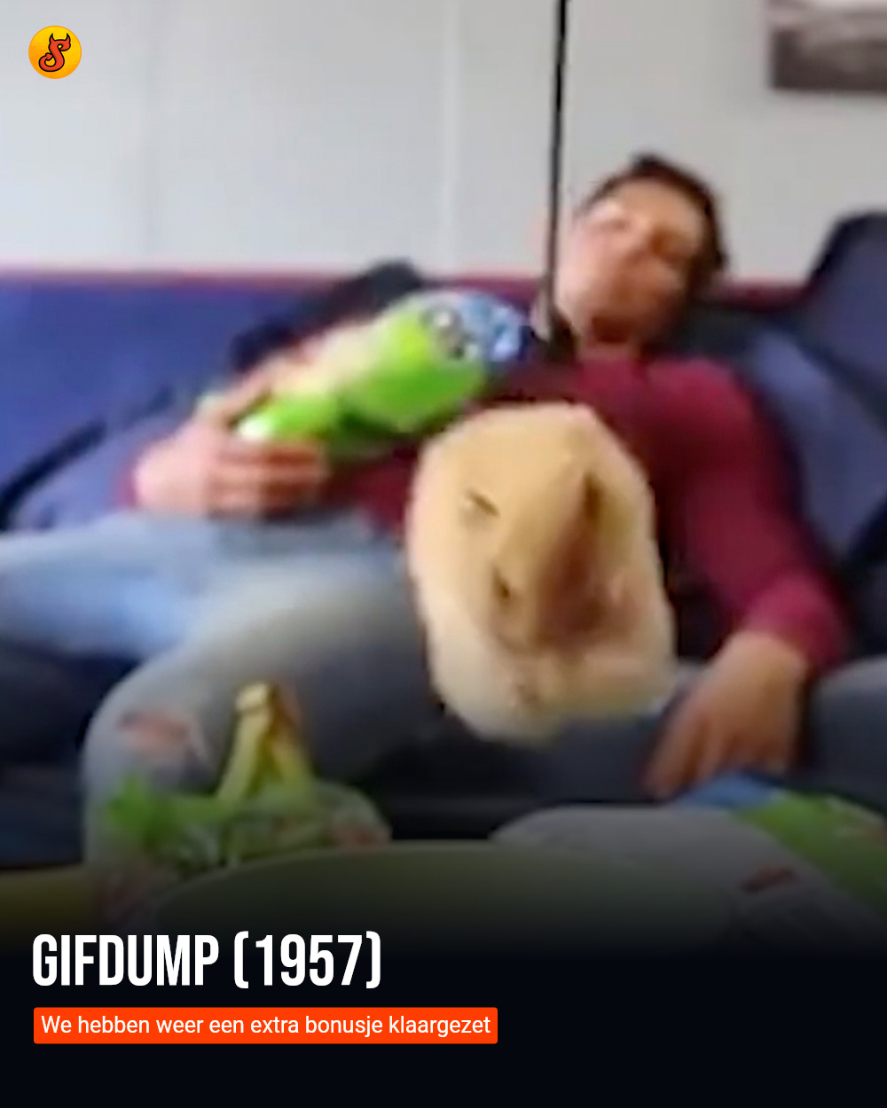 Gifdump (1957)