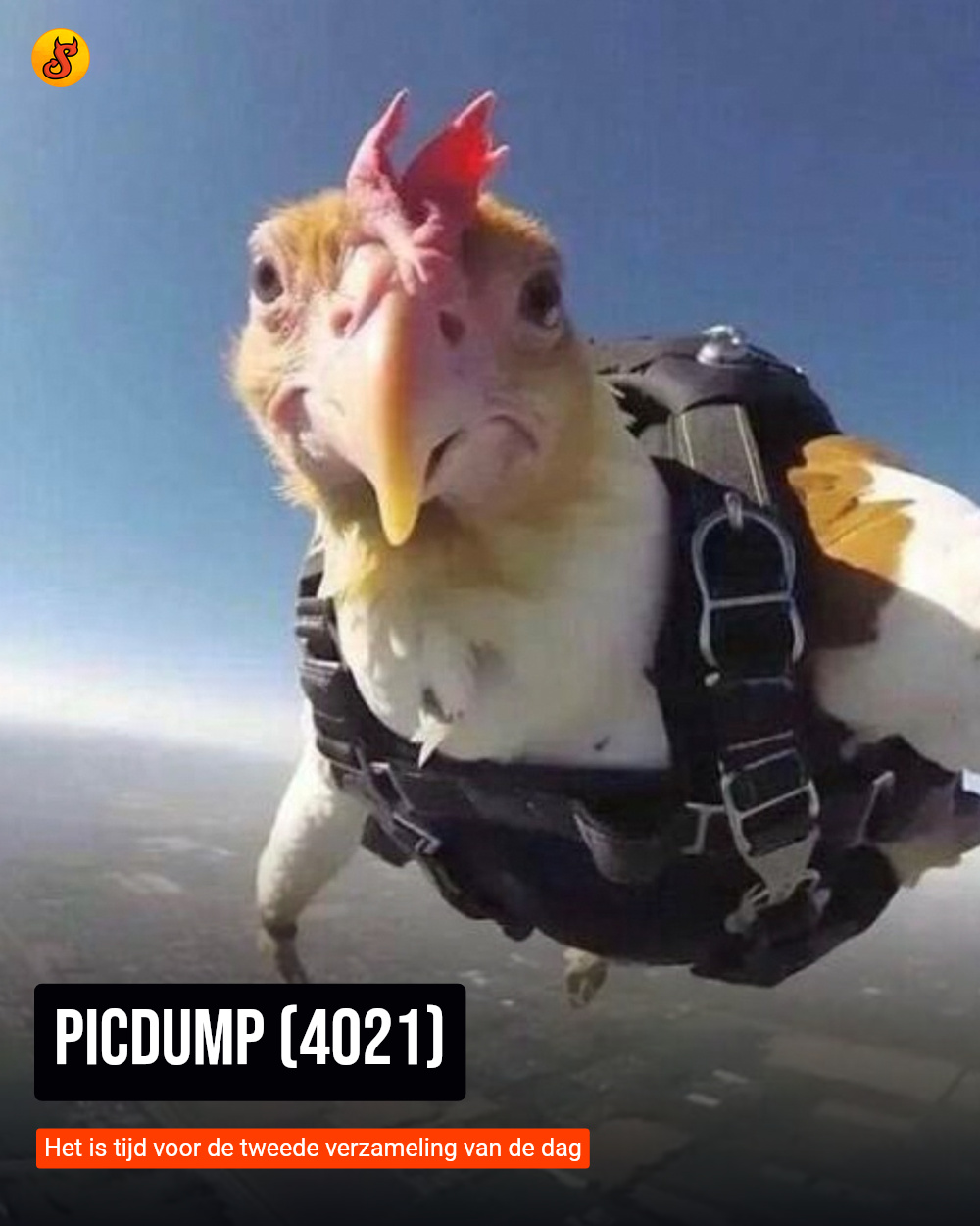 Picdump (4021)