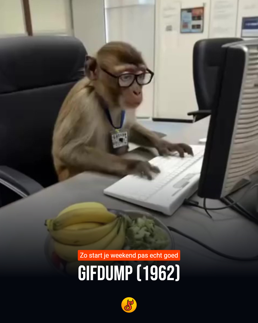 Gifdump (1962)