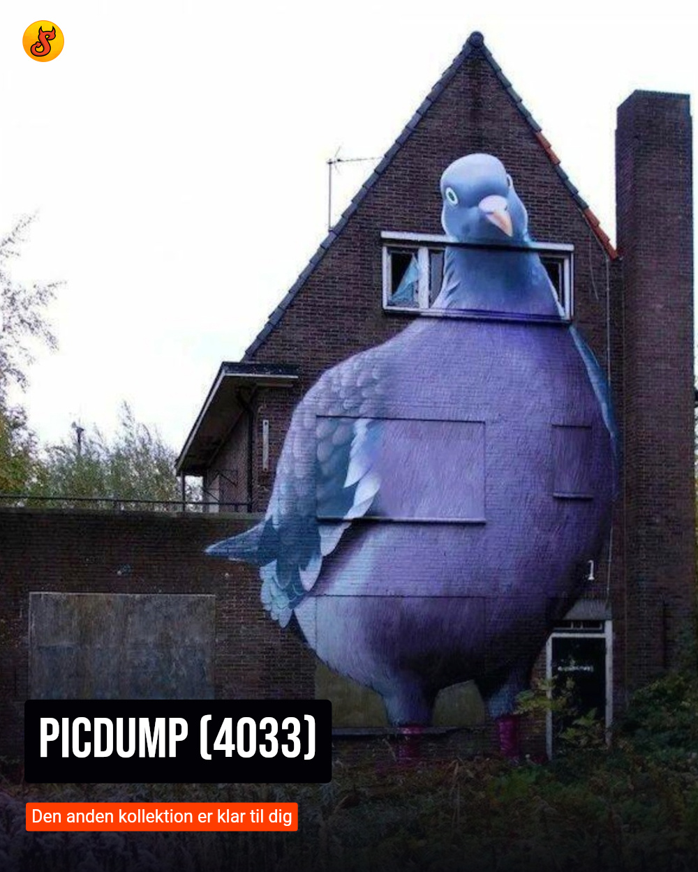 Picdump (4033)