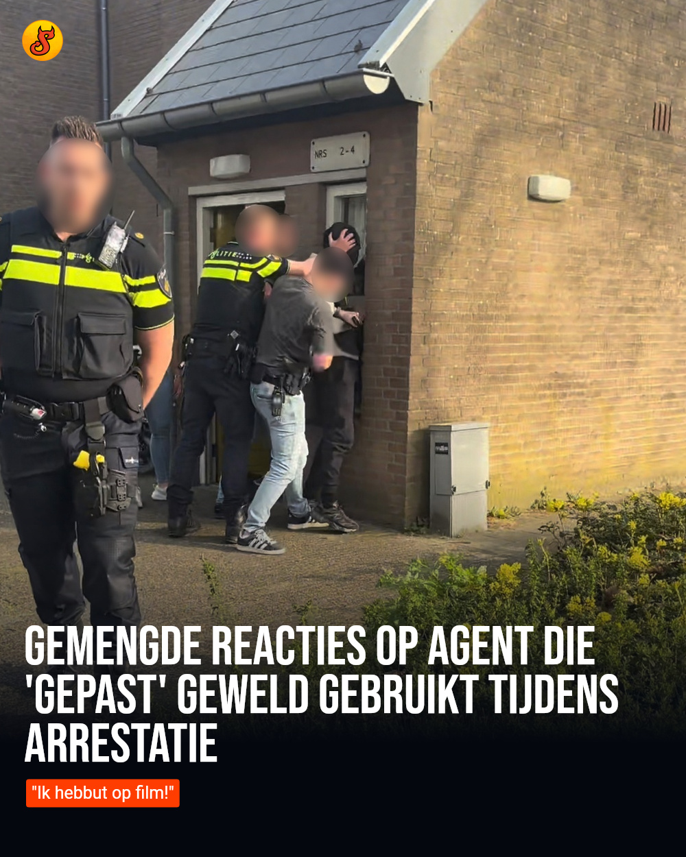 Gemengde reacties op agent die 'gepast' geweld gebruikt tijdens arrestatie