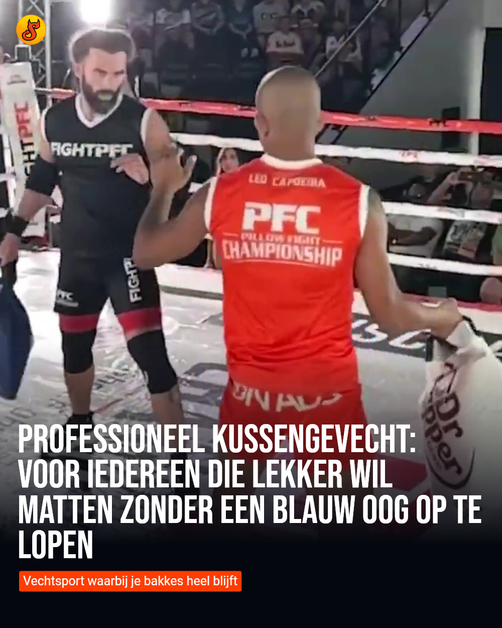 Professioneel kussengevecht: Voor iedereen die lekker wil matten zonder een blauw oog op te lopen