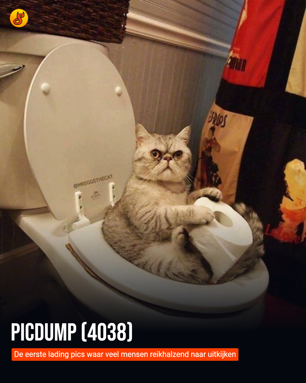 Picdump (4038)