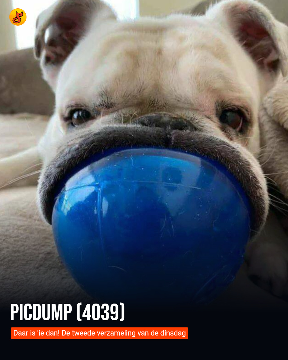Picdump (4039)