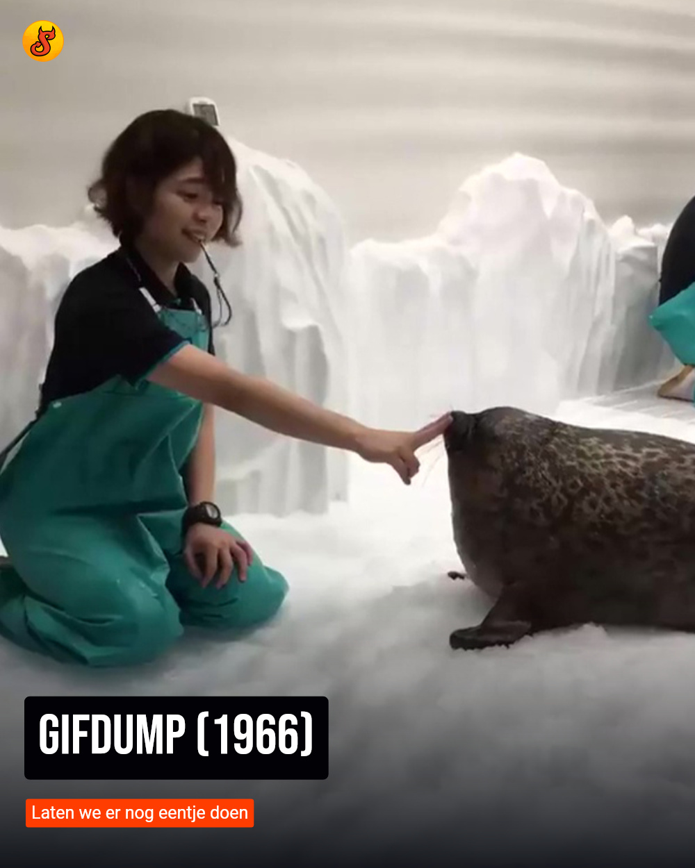 Gifdump (1966)