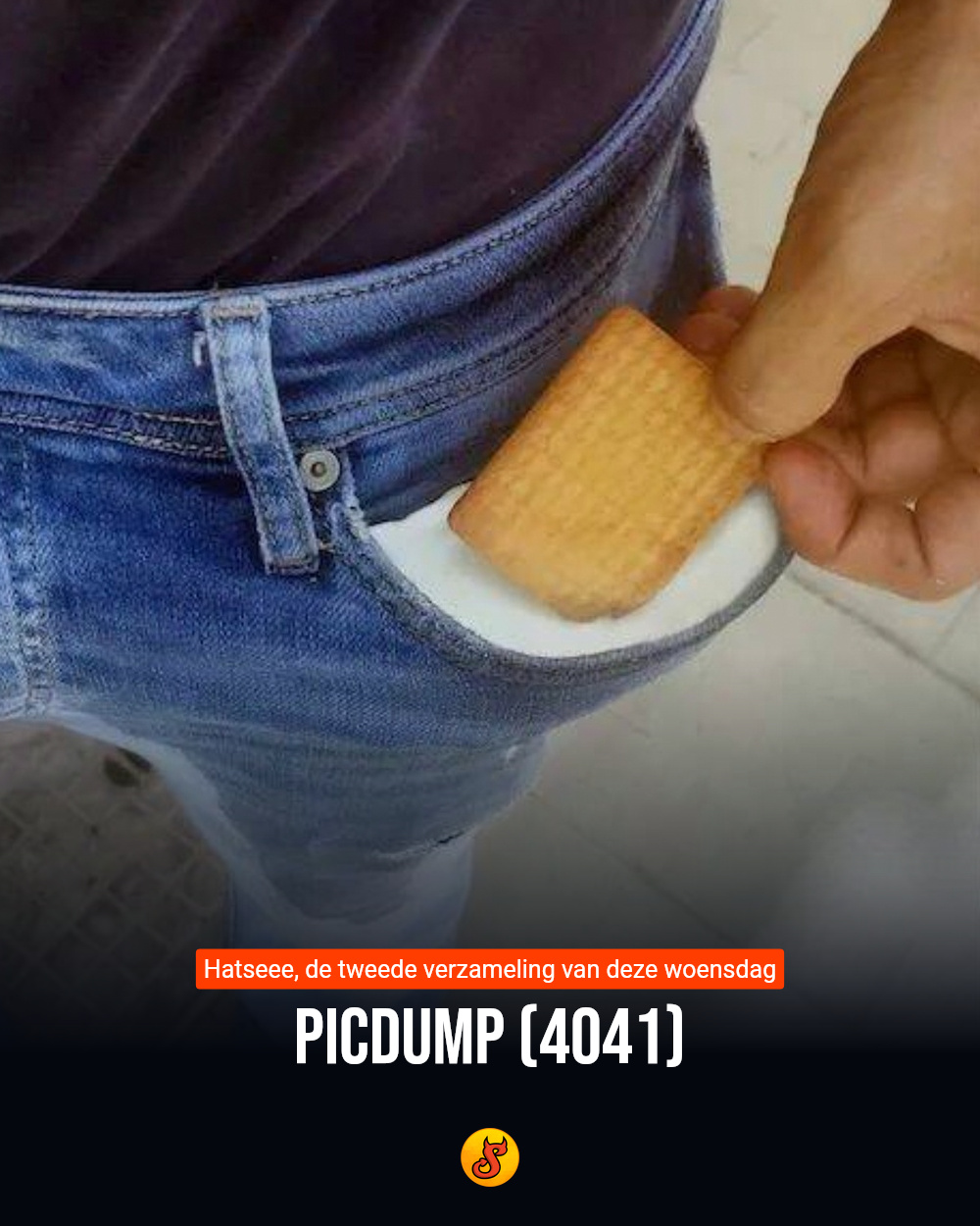 Picdump (4041)