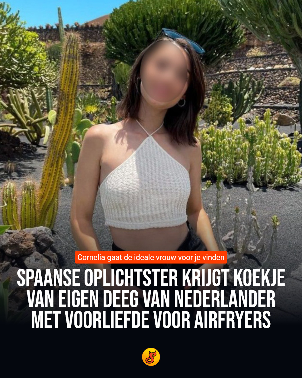 Spaanse oplichtster krijgt koekje van eigen deeg van Nederlander met voorliefde voor airfryers