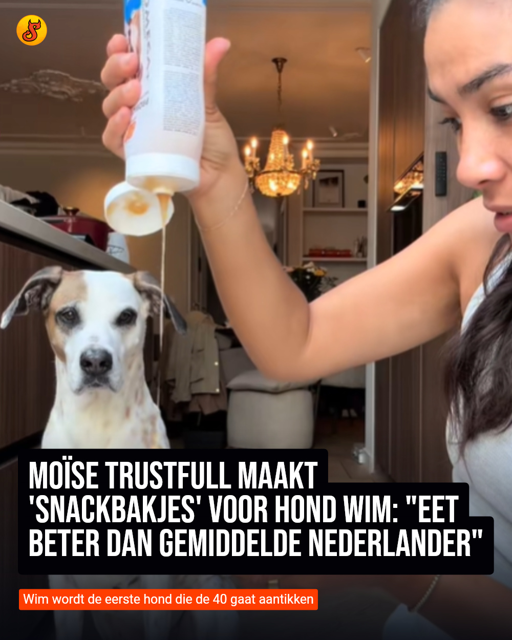 Moïse Trustfull maakt 'snackbakjes' voor hond Wim: "Eet beter dan gemiddelde Nederlander"