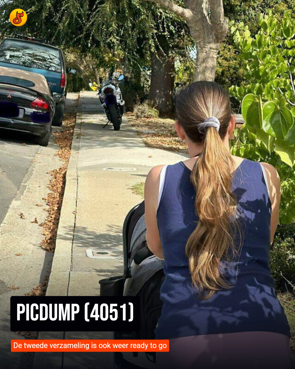Picdump (4051)
