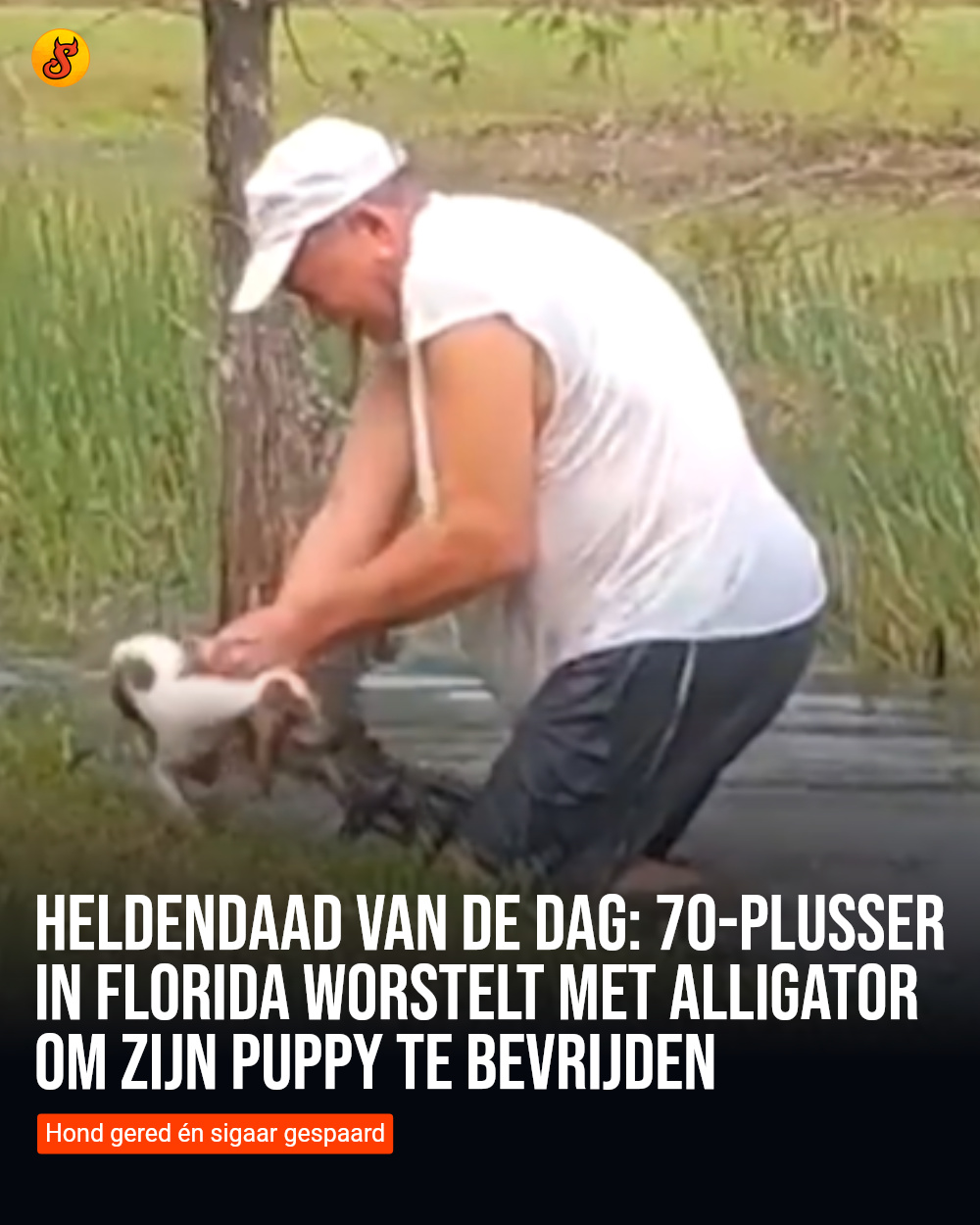 Heldendaad van de dag: 70-plusser in Florida worstelt met alligator om zijn puppy te bevrijden