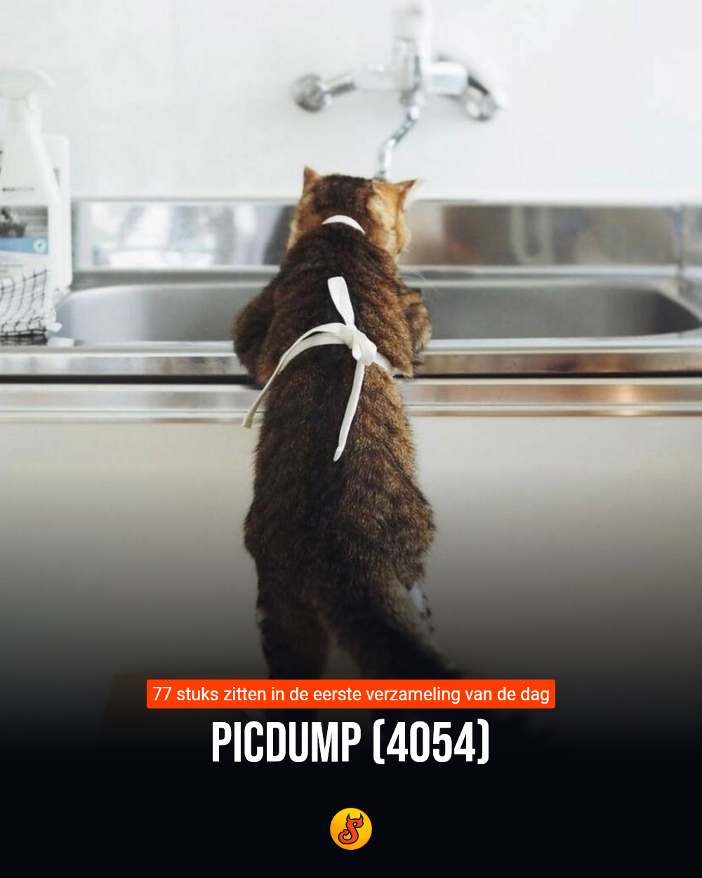 Picdump (4054)