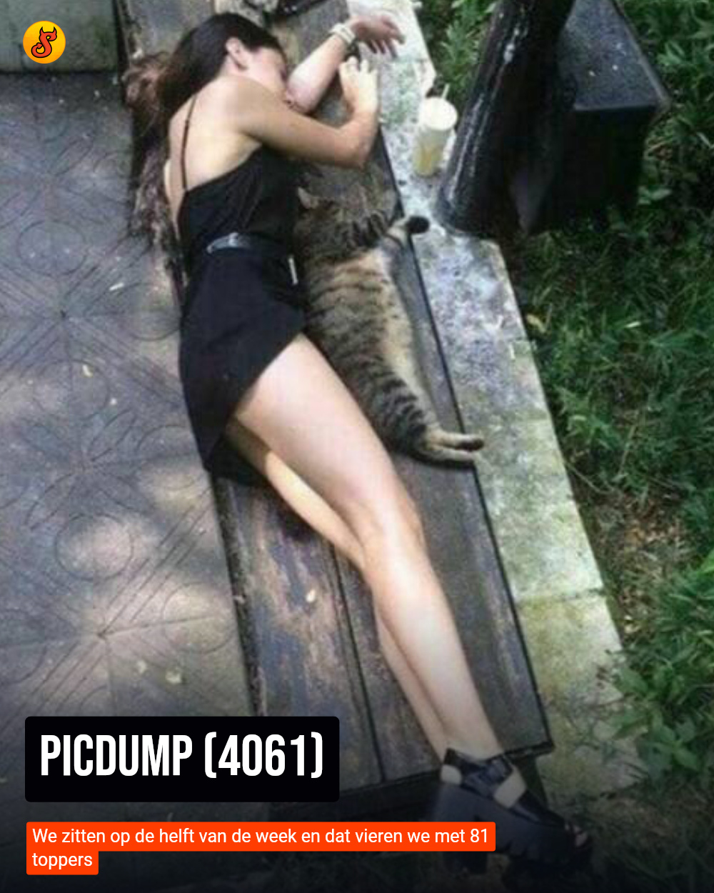 Picdump (4061)