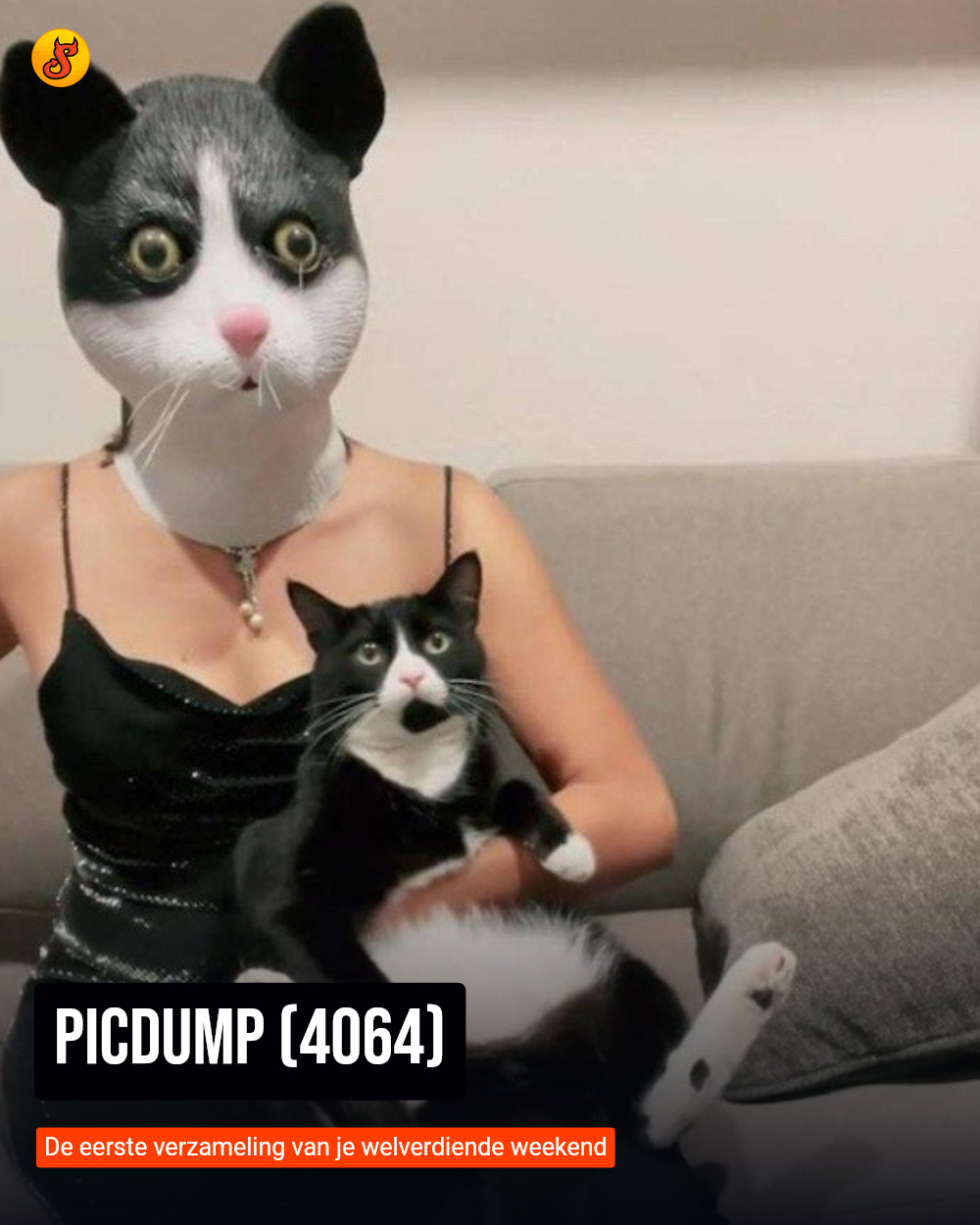Picdump (4064)