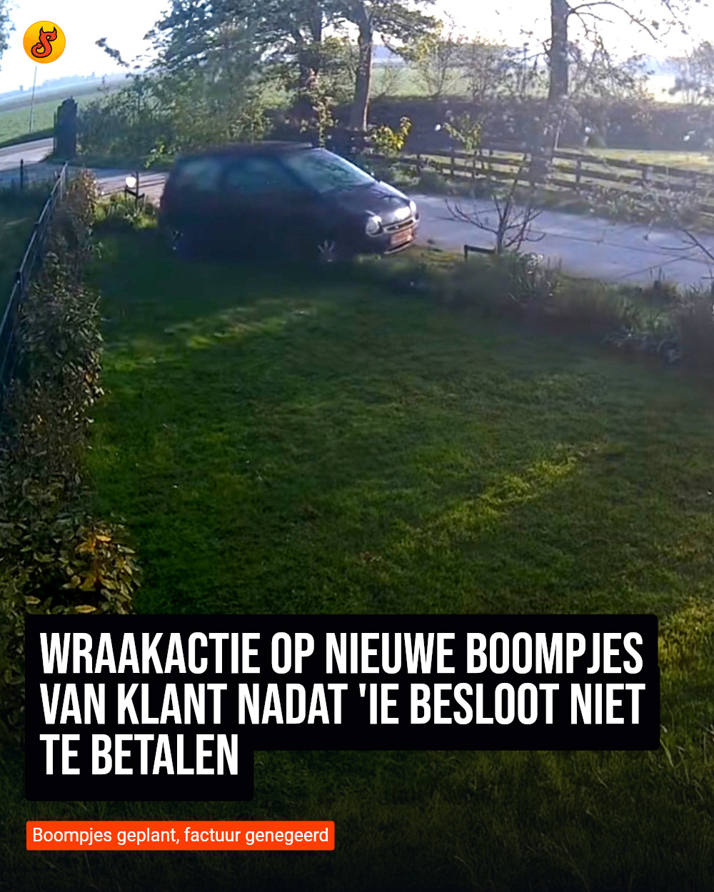 Wraakactie op nieuwe boompjes van klant nadat 'ie besloot niet te betalen