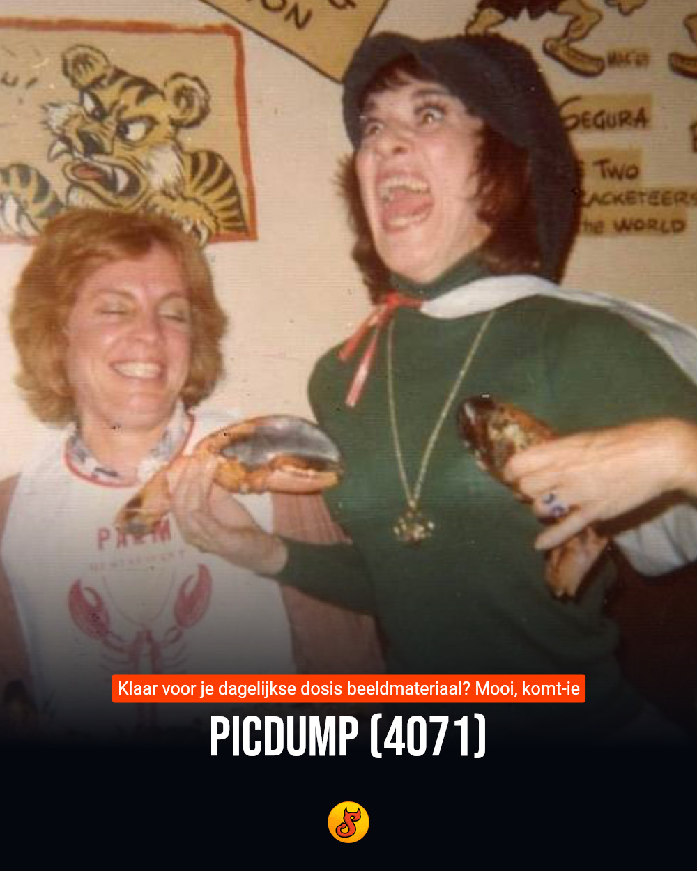 Picdump (4071)