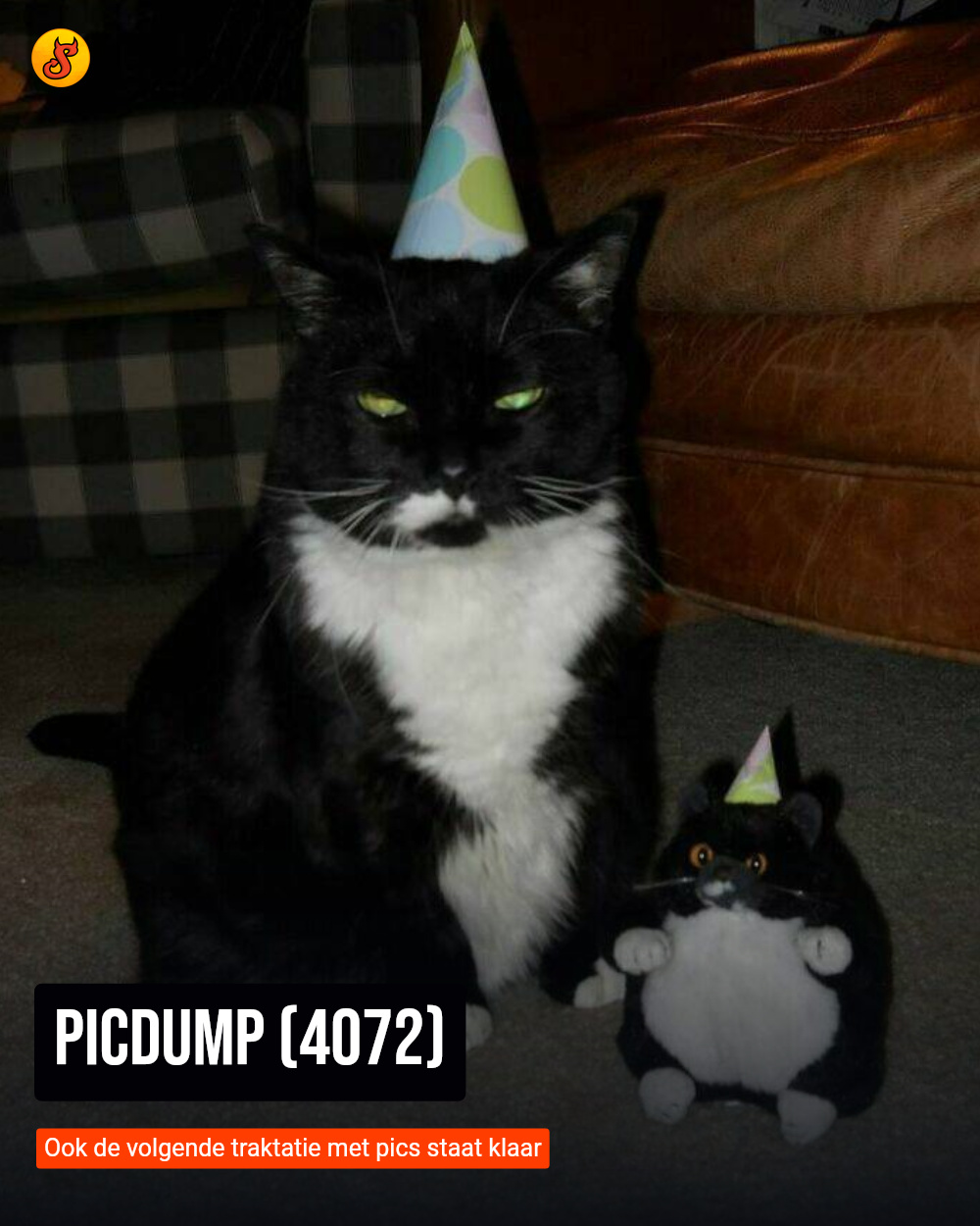 Picdump (4072)