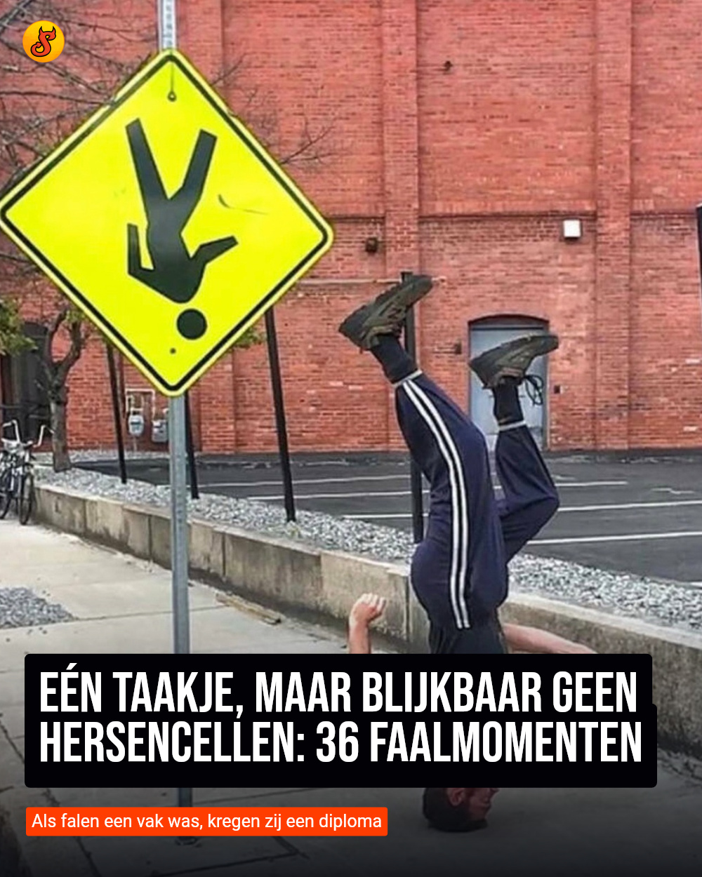Eén taakje, maar blijkbaar geen hersencellen: 36 faalmomenten
