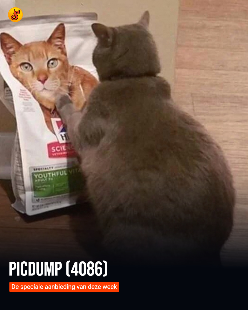 Picdump (4086)