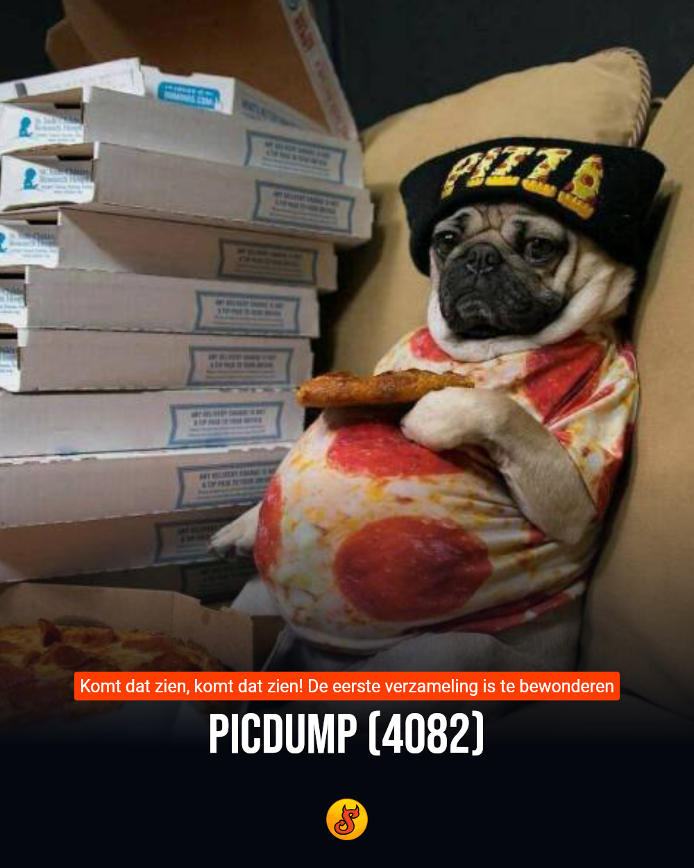 Picdump (4082)