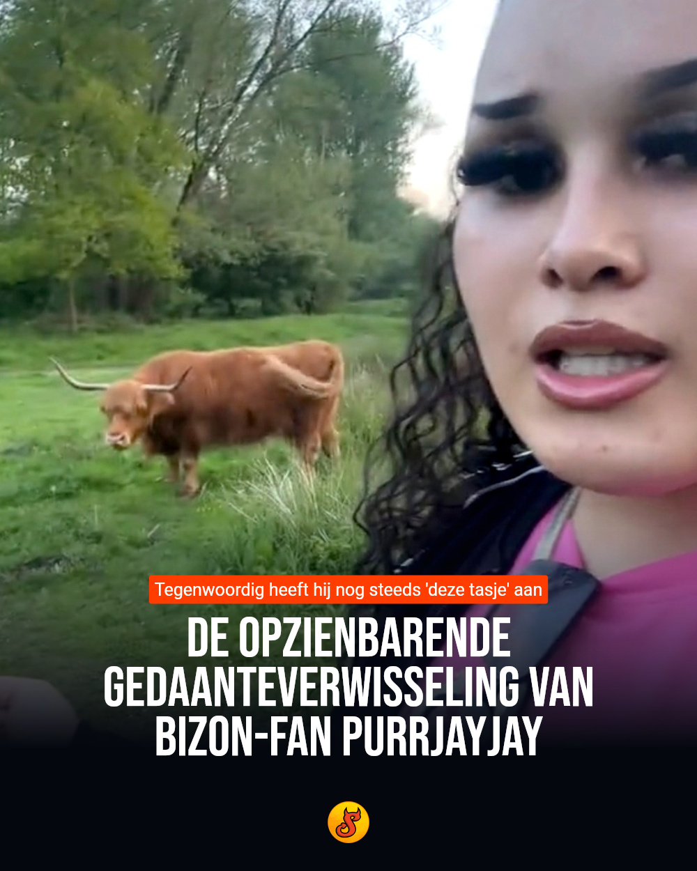 De opzienbarende gedaanteverwisseling van bizon-fan Purrjayjay