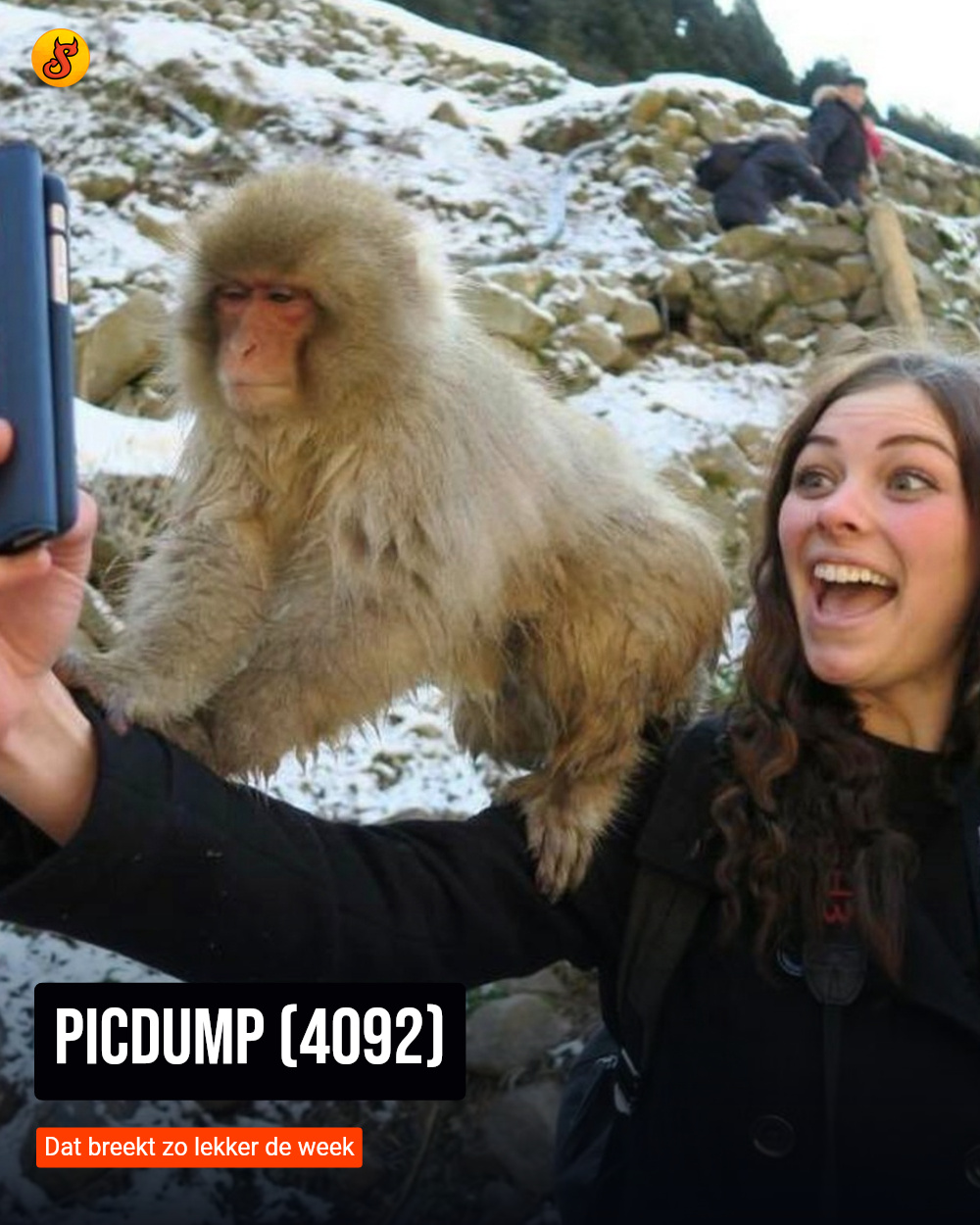 Picdump (4092)