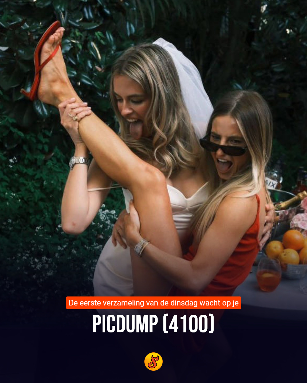 Picdump (4100)