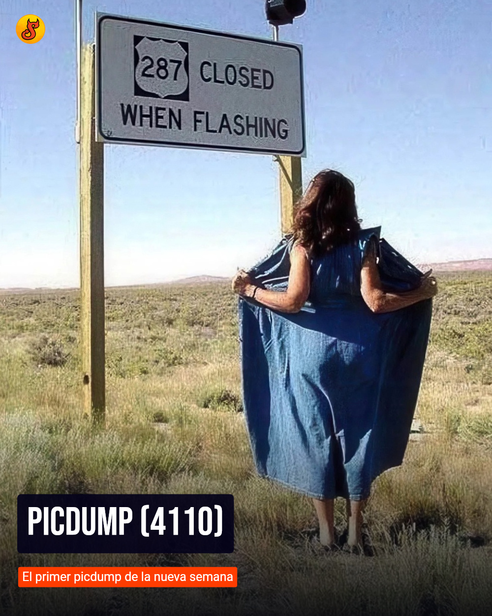 Picdump (4110)