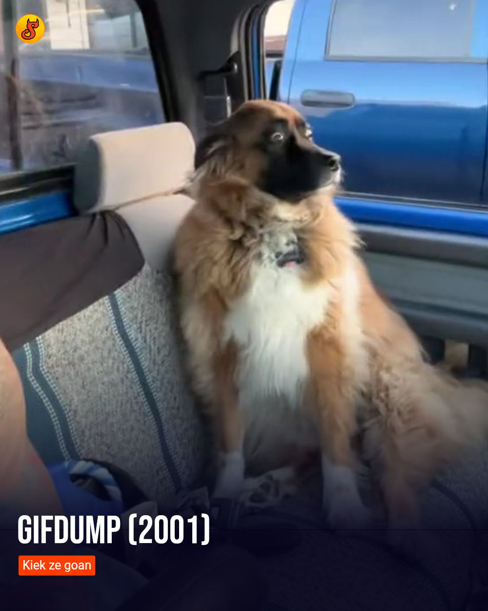 Gifdump (2001)