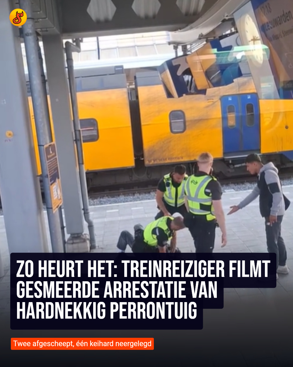 Zo heurt het: Treinreiziger filmt gesmeerde arrestatie van hardnekkig perrontuig