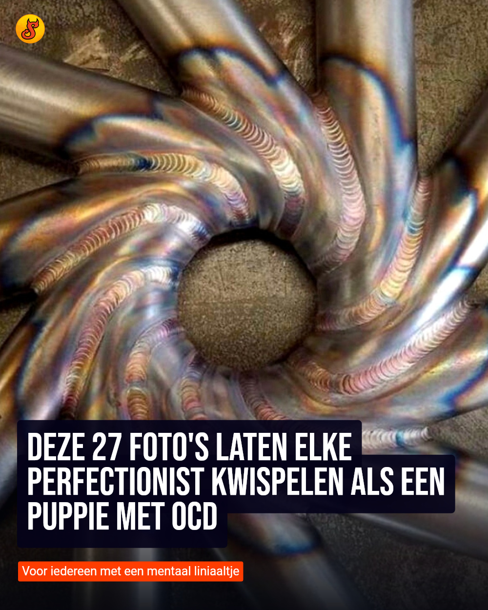 Deze 27 foto's laten elke perfectionist kwispelen als een puppie met OCD