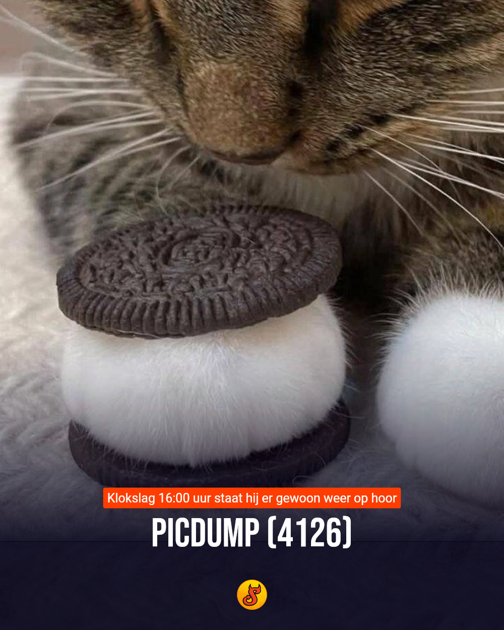 Picdump (4126)