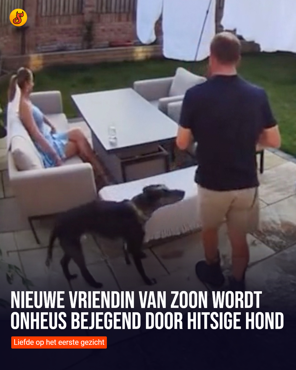 Nieuwe vriendin van zoon wordt onheus bejegend door hitsige hond