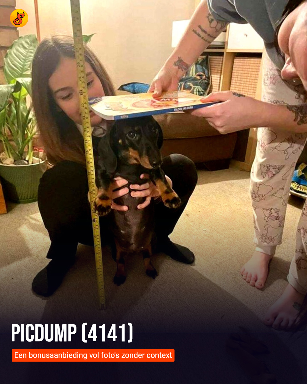 Picdump (4141)